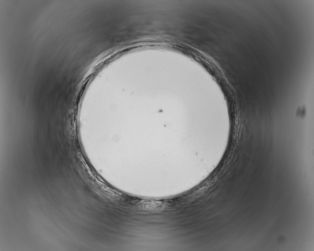 X0000115081168200912081205