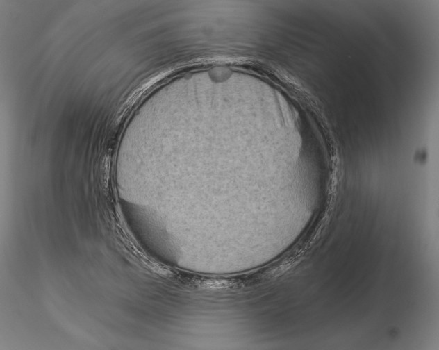 X0000115081169200912081205