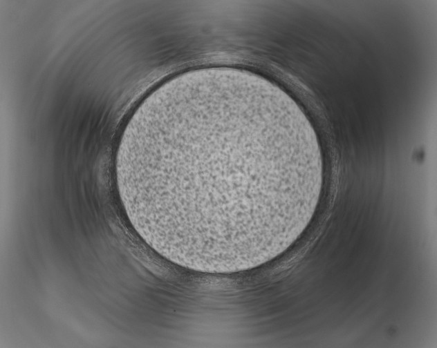 X0000115081170200912081205