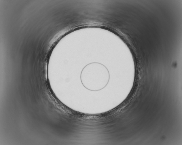 X0000115081171200912081204