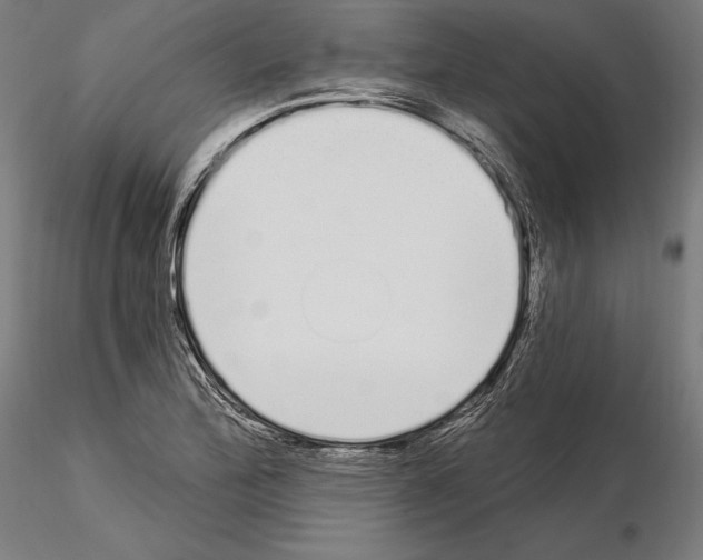 X0000115081172200912081204