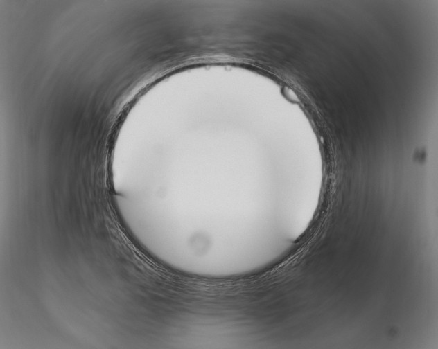 X0000115081173200912081204