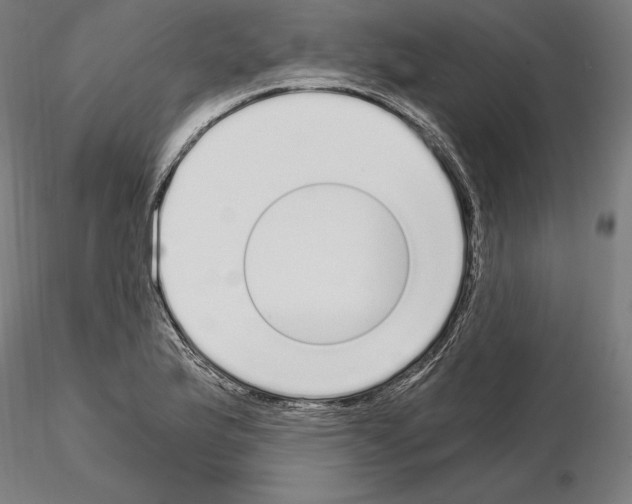 X0000115081175200912081204