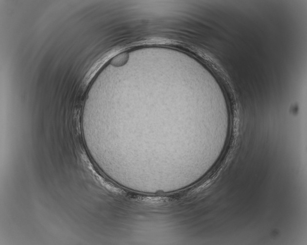 X0000115081177200912081204