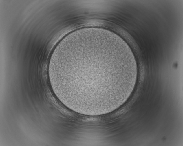 X0000115081178200912081204