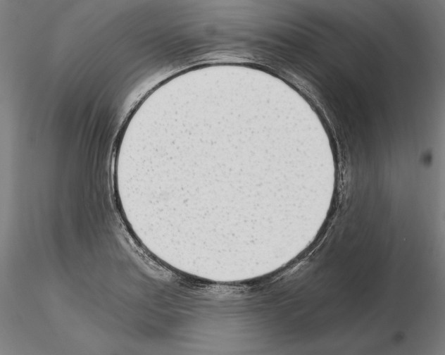 X0000115081179200912081204