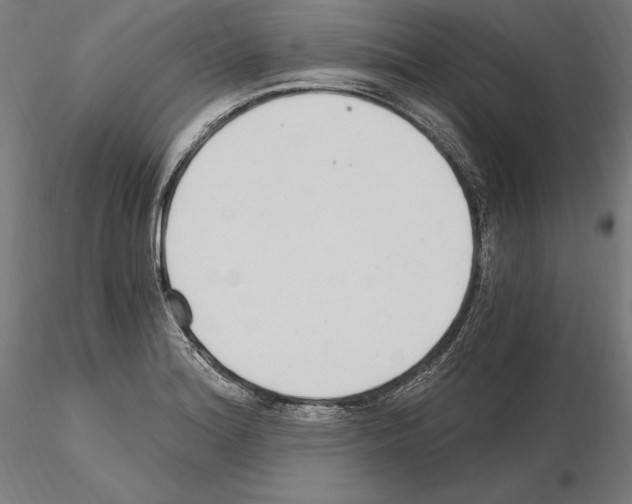 X0000115081180200912081204