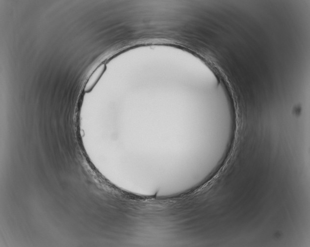 X0000115081181200912081204