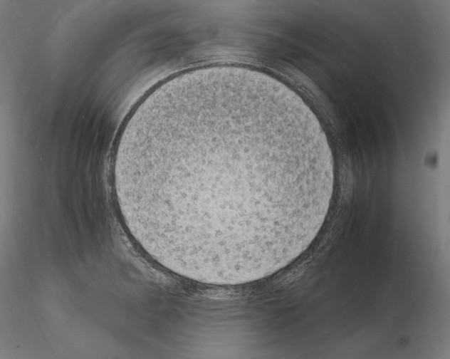 X0000115081182200912081204