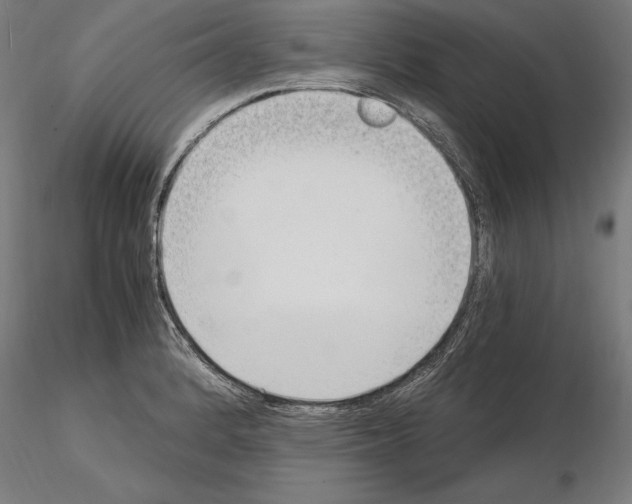 X0000115081184200912081204