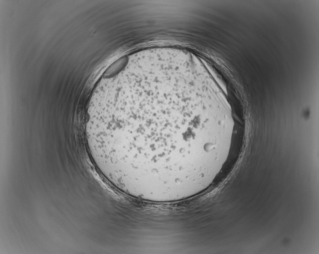 X0000115081185200912081204