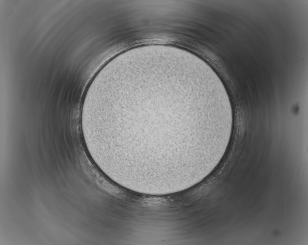 X0000115081186200912081204