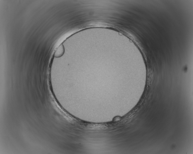 X0000115081187200912081204