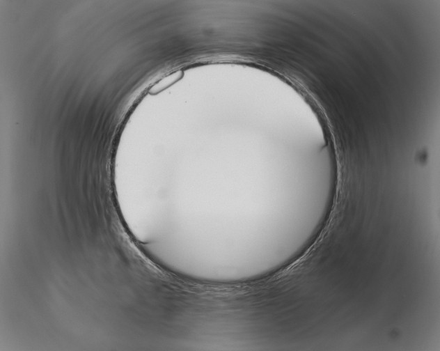 X0000115081189200912081204