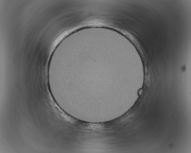 X0000115081191200912081204