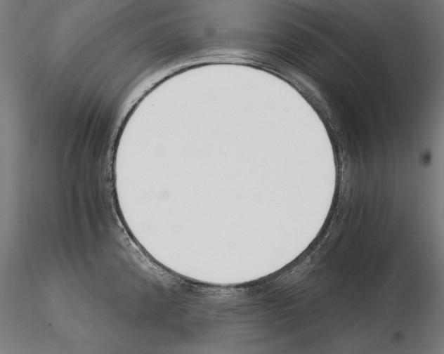 X0000115081192200912081204