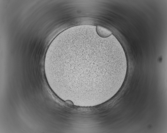 X0000115081194200912081204