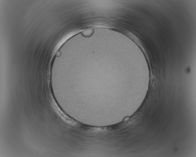 X0000115081195200912081204