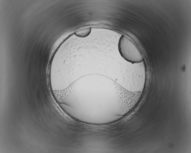 X0000115081196200912081204