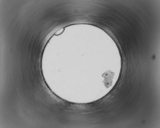 X0000115081197200912081204