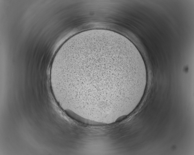 X0000115081198200912081204