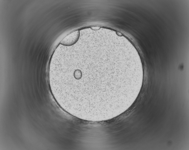 X0000115081199200912081204