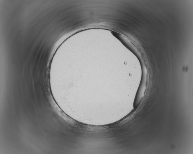 X0000115081200200912081204