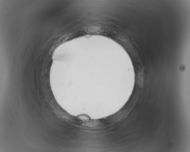 X0000115081201200912081203