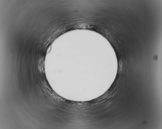 X0000115081202200912081203