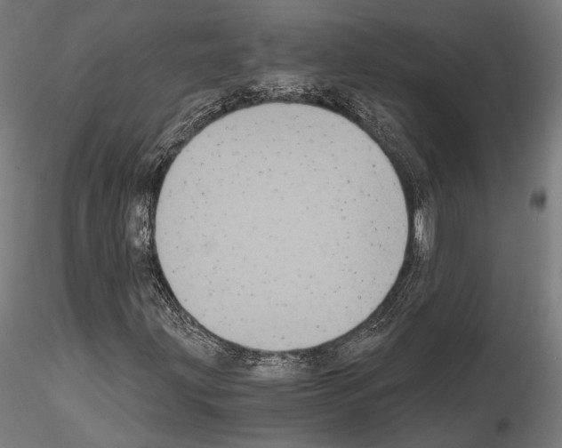 X0000115081203200912081203