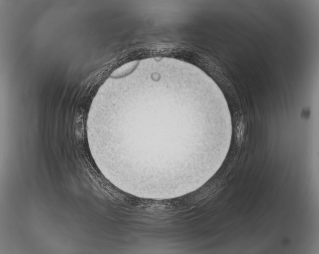 X0000115081204200912081203