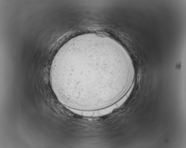 X0000115081205200912081203