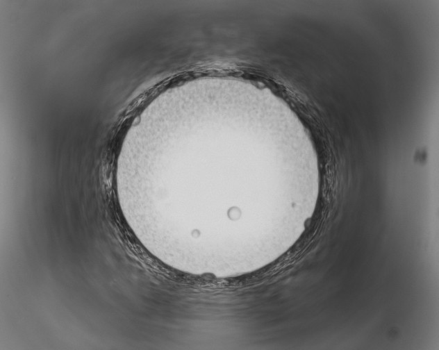 X0000115081206200912081203