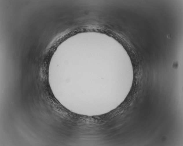 X0000115081207200912081203