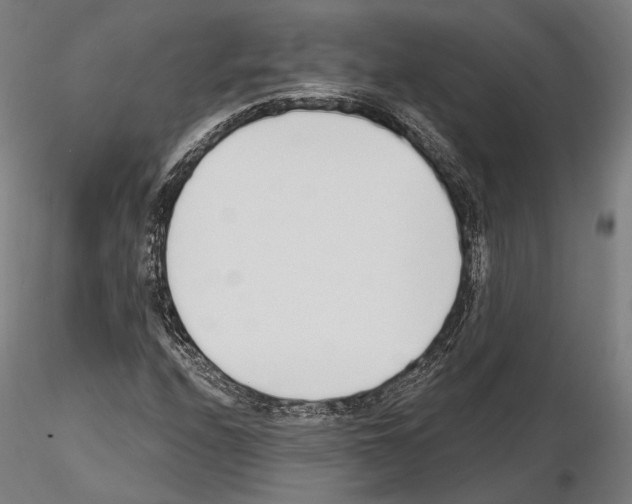 X0000115081208200912081203