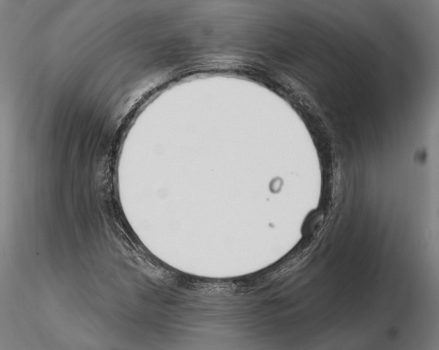 X0000115081210200912081203