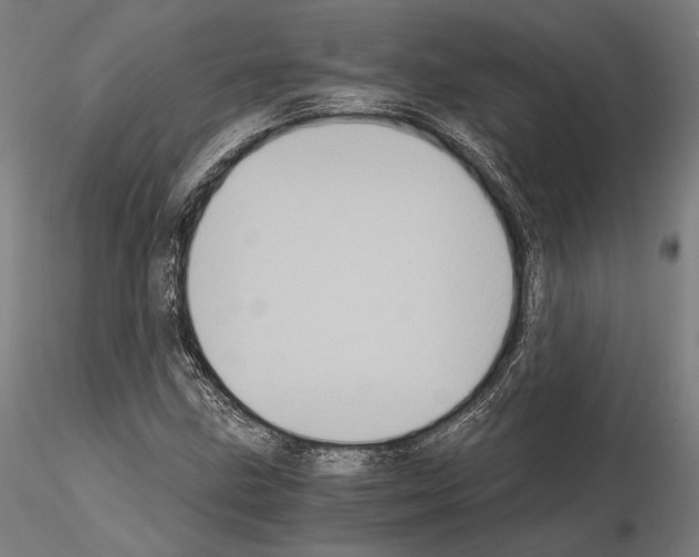 X0000115081211200912081203