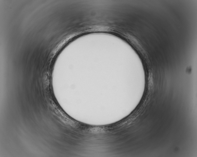 X0000115081212200912081204