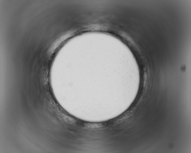 X0000115081213200912081204