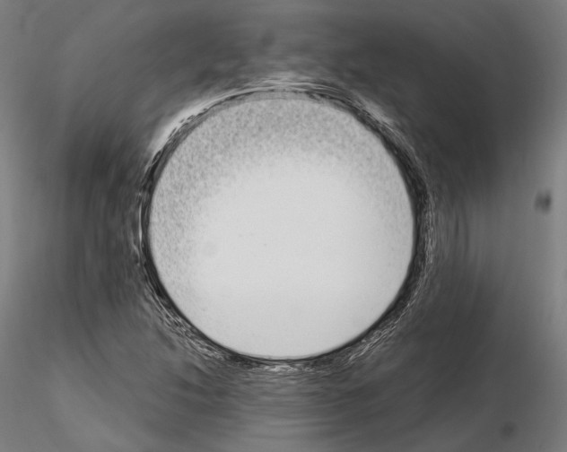 X0000115081214200912081204