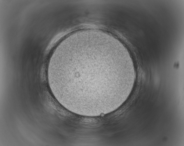 X0000115081215200912081204