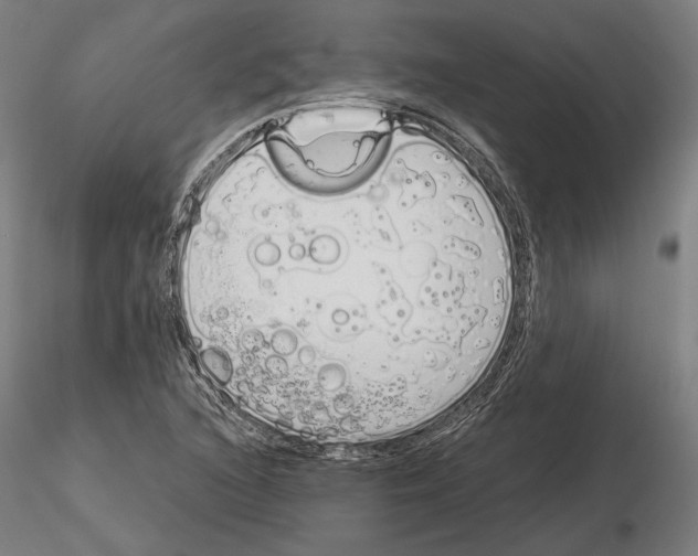 X0000115081216200912081204