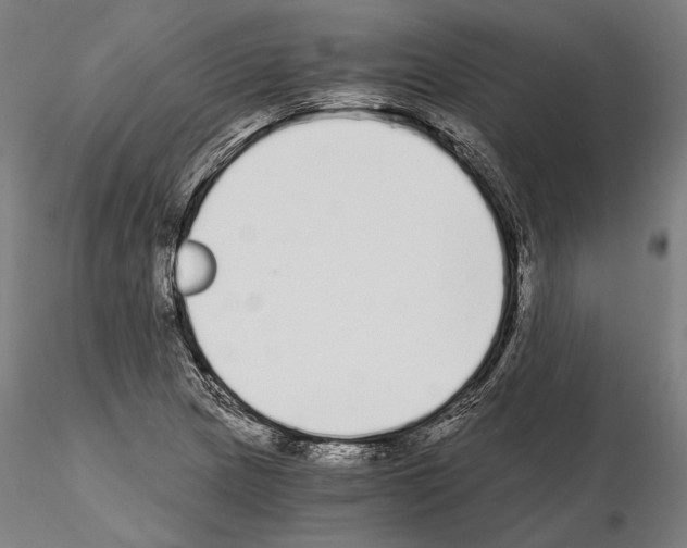 X0000115081217200912081204