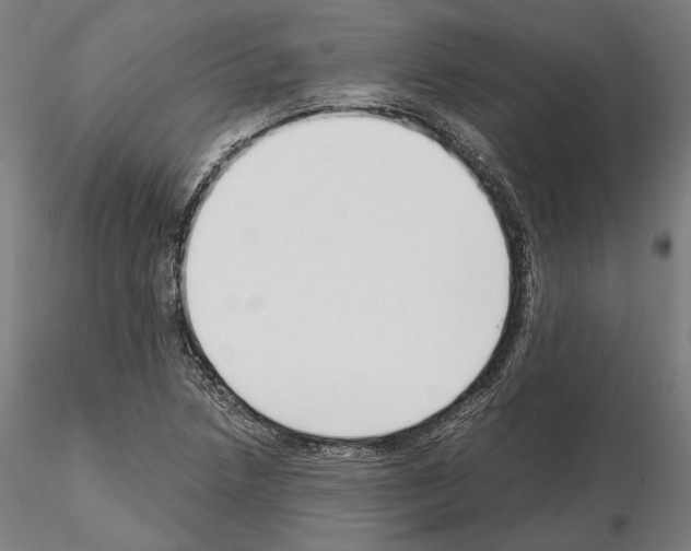 X0000115081218200912081204