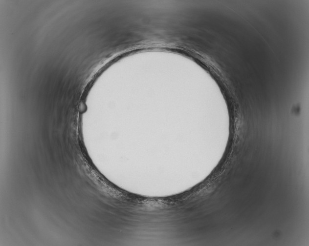 X0000115081220200912081204