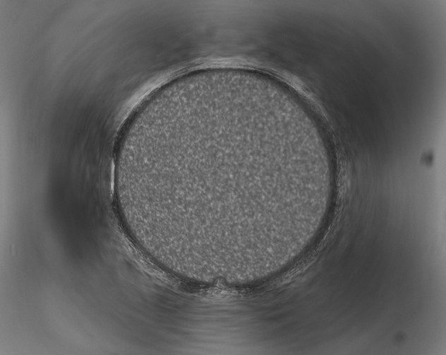 X0000115081221200912081204