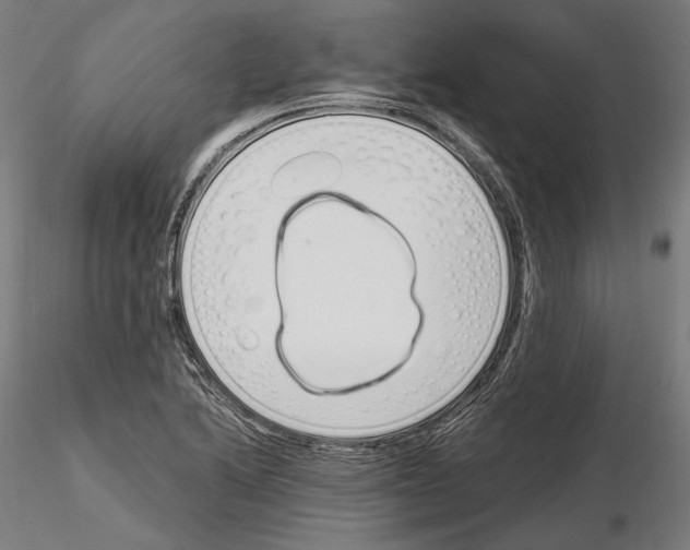 X0000115081222200912081204