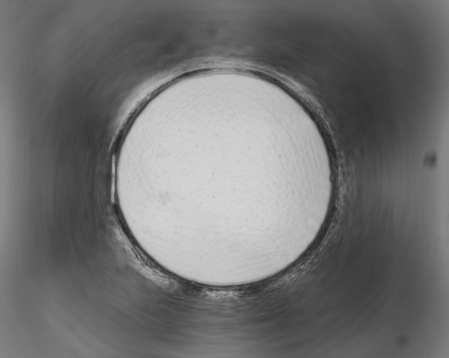 X0000115081223200912081204