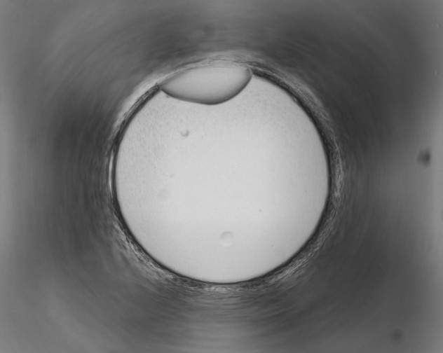 X0000115081224200912081204