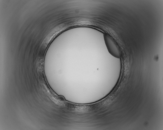 X0000115081225200912081204